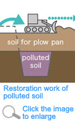 Restoration work of polluted soil