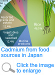 Cadmium from food sources in Japan