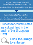 Flow for contaminated agricultural land in the basin of Jinzugawa River