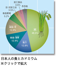日本人の食とカドミウム
