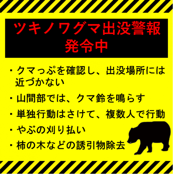 kumasyutubotukeihou3