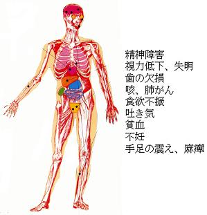 人体に及ぼす影響