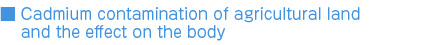 Cadmium Contamination of Agricultural Land and the Effect on the Body