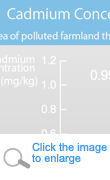 Cadmium Concentration in Rice