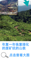 The mountain surface of the disused mine where afforestation is advancing each year