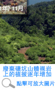 廢棄礦坑山體裸岩上的植披逐年增加