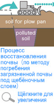 Процесс восстановления почвы (по методу погребения загрязненной почвы под щебёночным слоем)