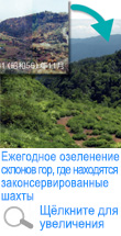 Ежегодное озеленение склонов гор, где находятся законсервированные шахты