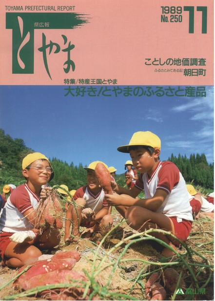 県広報とやま　1989年（平成元年）11月号　No.250　表紙