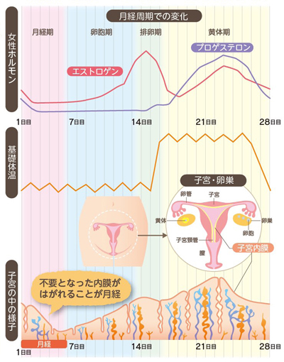 2次元　高校生　無修正　出血 