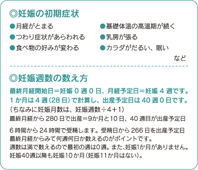 つわり 12週