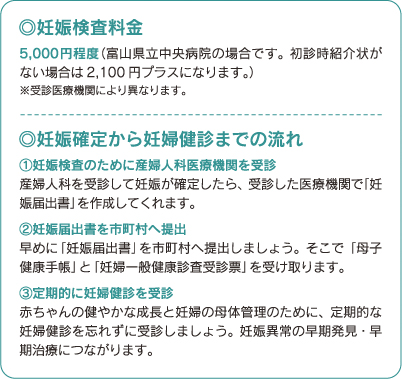 妊娠検査料金、妊娠確定から妊婦検診までの流れ