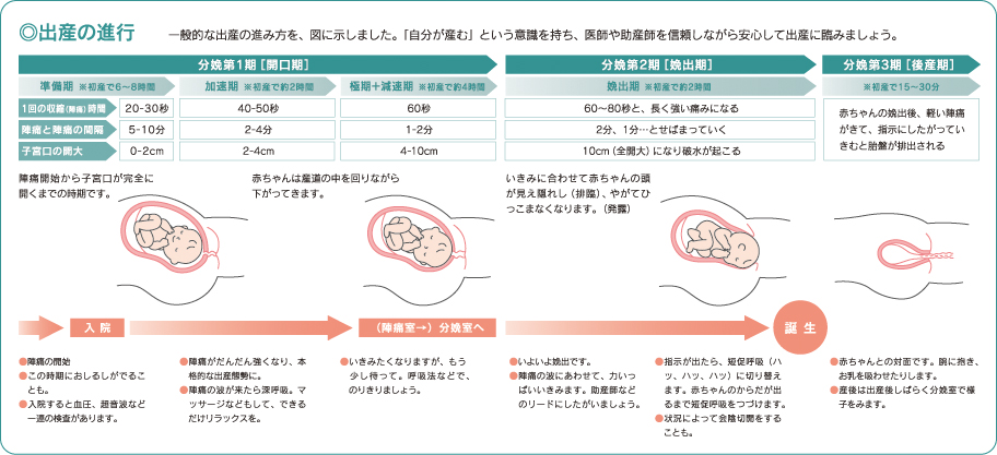 出産の進行説明図