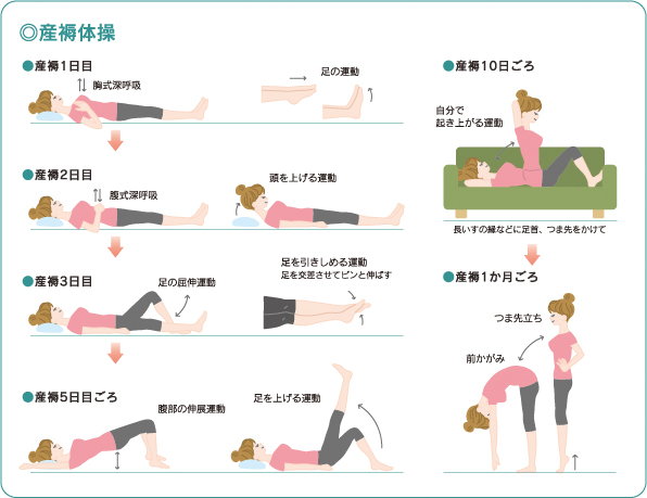 産褥 体操 で 適切 でない の は どれ か