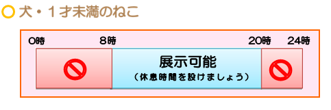 犬と1才未満のねこの展示可能時刻は8時～20時