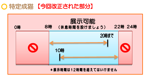 特定成ねこの展示可能時刻は8時～22時