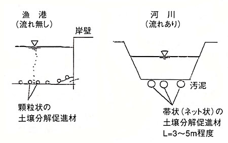 参考写真