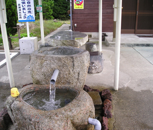 高瀬湧水の庭の写真