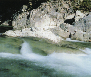 片貝川の清流の写真