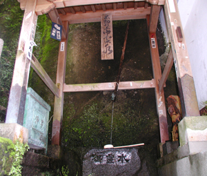 大岩山日石寺の藤水の写真