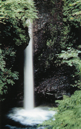 岩室の滝の写真