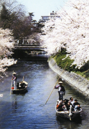 松川の写真