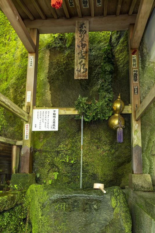 富山県 大岩山日石寺の藤水