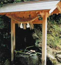 気多神社の清泉の写真