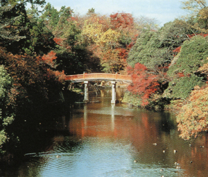 高岡古城公園の水濠の写真