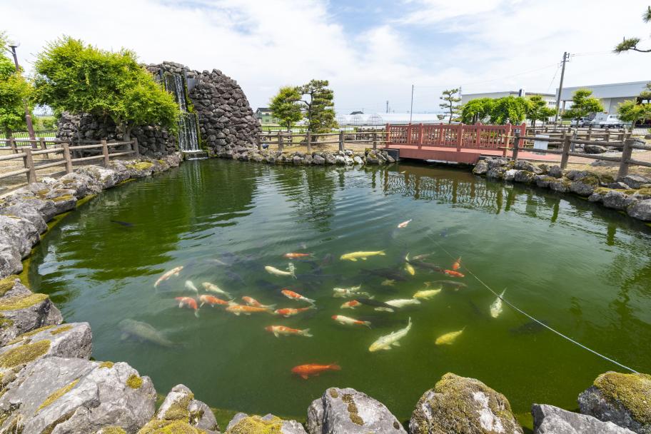 福岡鯉の里公園