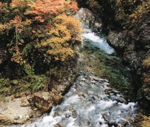 小矢部川の長瀞の写真