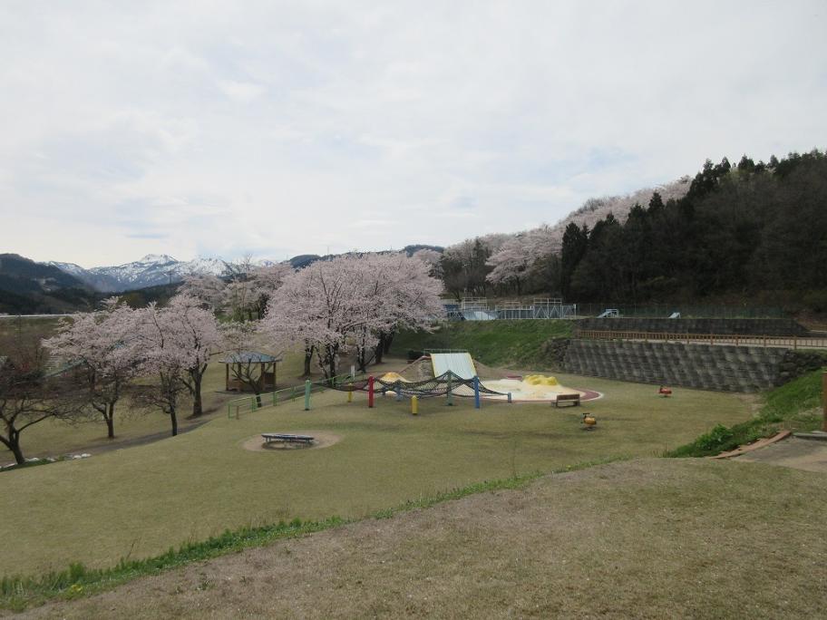 桜ヶ池公園2