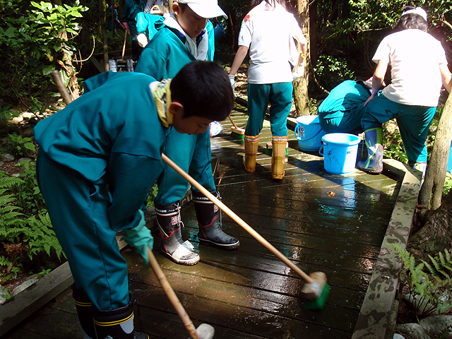 入善町立上青小学校文化財愛護少年団の写真