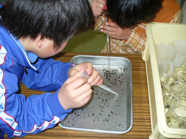 滑川市立東加積小学校2