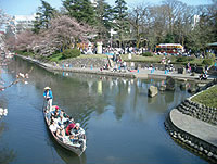 高橋川(河川愛護ボラ)