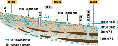 地下断面図