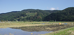 地下水のかん養