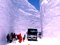 立山雪の大谷ウオーク写真