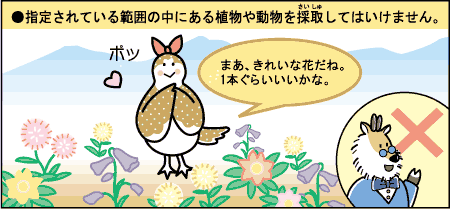 指定されている範囲の中にある植物や動物を採取してはいけません。
