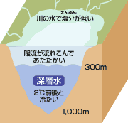 深層水説明図