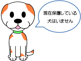 現在保護している犬はいません