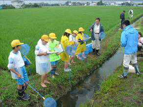 生き物調べ