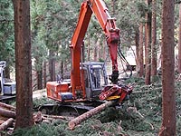什器による森の整備