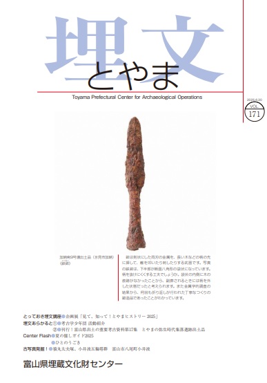 埋文171号表紙