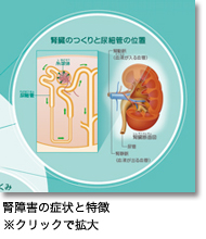 腎障害の症状と特徴