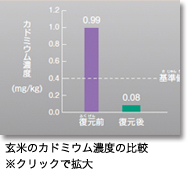 玄米のカドミウム濃度の比較