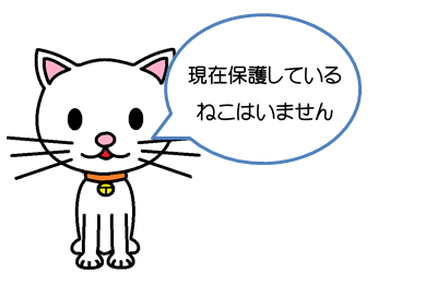 猫いません