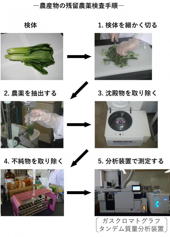 農薬検査フロー3