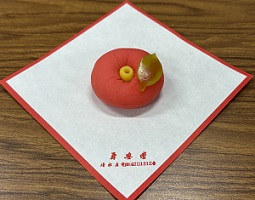 乙女椿