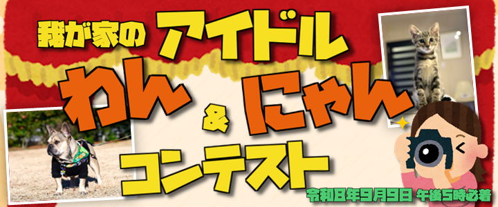 2026年度我が家のアイドルわん＆にゃんコンテスト